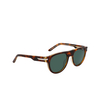 Occhiali da sole Nike CRESCENT III 298 tortoise / green - anteprima prodotto 2/4