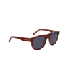 Nike CRESCENT III Sunglasses 661 cedar / grey - product thumbnail 2/4