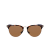 Lunettes de soleil Nike DIVOT PL 240 tortoise / polar lite brown - Vignette du produit 1/4