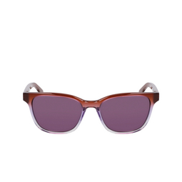 Lunettes de soleil Nike EV24047 601 dark russet gradient / lilac