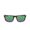 Nike ENDURE M Sunglasses 355 matte sequoia / brown / green - product thumbnail 1/4