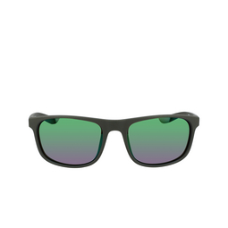 Nike ENDURE M Sunglasses 355 matte sequoia / brown / green