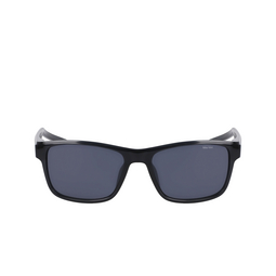 Nike LIVEFREE CLASSIC Sunglasses 060 anthracite / grey