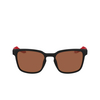 Nike LIVEFREE ICONIC Sunglasses 010 matte black / brown - product thumbnail 1/4