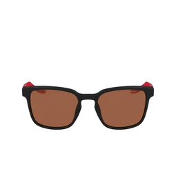 Nike LIVEFREE ICONIC Sunglasses 010 matte black / brown