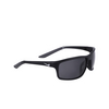 Lunettes de soleil Nike NIKE ADRENALINE 22 010 matte black / dark grey - Vignette du produit 2/4