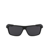 Lunettes de soleil Nike PREMIER 001 matte black / dark grey lens - Vignette du produit 1/3