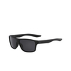 Lunettes de soleil Nike PREMIER 001 matte black / dark grey lens - Vignette du produit 2/3