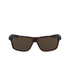 Lunettes de soleil Nike PREMIER 202 matte tortoise / dark brown - Vignette du produit 1/3