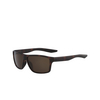 Gafas de sol Nike PREMIER 202 matte tortoise / dark brown - Miniatura del producto 2/3