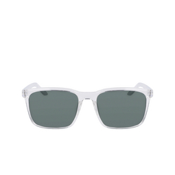 Nike RAVE P Sunglasses 901 clear / polar green