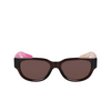 Nike VARIANT II Sunglasses 228 earth / mauve - product thumbnail 1/4