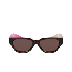 Lunettes de soleil Nike VARIANT II 228 earth / mauve