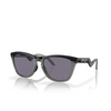 Gafas de sol Oakley FROGSKINS HYBRID 928907 matte black - Miniatura del producto 2/4