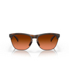 Gafas de sol Oakley FROGSKINS LITE 937450 matte brown tortoise - Miniatura del producto 1/4