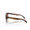 Gafas de sol Oakley FROGSKINS LITE 937450 matte brown tortoise - Miniatura del producto 3/4