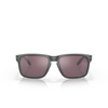 Occhiali da sole Oakley HOLBROOK 9102B5 steel - anteprima prodotto 1/4