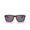 Occhiali da sole Oakley HOLBROOK 9102E8 matte black - anteprima prodotto 1/4