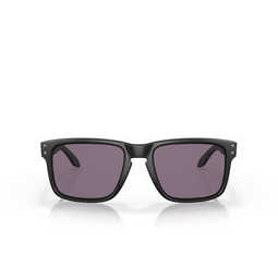 Gafas de sol Oakley HOLBROOK 9102E8 matte black