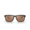 Occhiali da sole Oakley HOLBROOK 9102G6 matte olive ink - anteprima prodotto 1/4