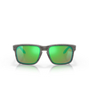 Occhiali da sole Oakley HOLBROOK 9102J8 woodgrain - anteprima prodotto 1/4