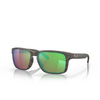 Occhiali da sole Oakley HOLBROOK 9102J8 woodgrain - anteprima prodotto 2/4