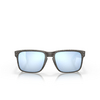 Occhiali da sole Oakley HOLBROOK 9102J9 woodgrain - anteprima prodotto 1/4