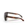 Lunettes de soleil Oakley HOLBROOK XL 941702 matte brown tortoise - Vignette du produit 3/4