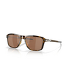 Lunettes de soleil Oakley WHEEL HOUSE 946904 polished brown tortoise - Vignette du produit 2/4