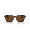 Oliver Peoples ERRISSON SUN Sonnenbrillen 174157 atago tortoise - Produkt-Miniaturansicht 1/4