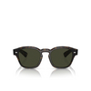 Oliver Peoples MAYSEN Sunglasses 1747P1 walnut tortoise - product thumbnail 1/4