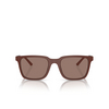 Lunettes de soleil Oliver Peoples MR. FEDERER 700253 semi-matte brick - Vignette du produit 1/4