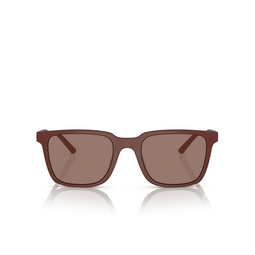 Gafas de sol Oliver Peoples MR. FEDERER 700253 semi-matte brick