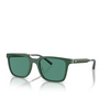 Oliver Peoples MR. FEDERER Sunglasses 700471 semi-matte ryegrass - product thumbnail 2/4