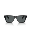 Oliver Peoples N.04 SUN Sonnenbrillen 1731P2 black - Produkt-Miniaturansicht 1/4