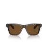 Lunettes de soleil Oliver Peoples N.04 SUN 174157 atago tortoise - Vignette du produit 1/4