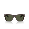 Occhiali da sole Oliver Peoples N.04 177252 kuri brown - anteprima prodotto 1/4