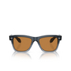Oliver Peoples N.04 Sunglasses 177753 twilight gradient - product thumbnail 1/4