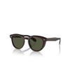 Oliver Peoples N.05 SUN Sonnenbrillen 177252 kuri brown - Produkt-Miniaturansicht 2/4