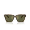 Occhiali da sole Oliver Peoples OLLICE 1735O8 soft olive bark - anteprima prodotto 1/4