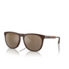Oliver Peoples R-1 Sunglasses 70055A umber - product thumbnail 2/4