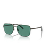 Oliver Peoples R-2 Sunglasses 533971 ryegrass / pewter - product thumbnail 2/4