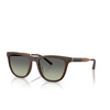 Occhiali da sole Oliver Peoples R-9 70052A semi-matt umber - anteprima prodotto 2/4