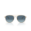 Oliver Peoples RIVETTI Sunglasses 5035Q8 gold - product thumbnail 1/4