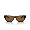 Oliver Peoples ROSSON Sunglasses 100953 362 - product thumbnail 1/4