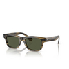 Oliver Peoples ROSSON Sunglasses 171952 olive smoke - product thumbnail 2/4