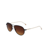 Lunettes de soleil Paul Smith FELIX 02 matt black / shiny gold - Vignette du produit 3/4