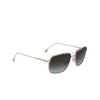 Lunettes de soleil Paul Smith FOSTER 03 shiny light gold - Vignette du produit 2/4