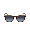 Lunettes de soleil Paul Smith GRANT 02 havana black - Vignette du produit 1/4