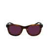 Lunettes de soleil Paul Smith HALONS 210 striped brown - Vignette du produit 1/4